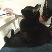 奇怪的名字的个人资料头像