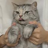 香辛料613头像