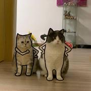 旺柴23的个人资料头像