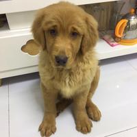 酌一杯清酒Lucky头像