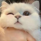 用户5869216507709头像
