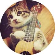 nick910的个人资料头像