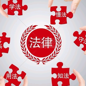 勇者法行天下头像