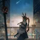 竺白的个人资料头像