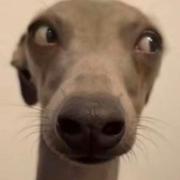 用户5878404818060的个人资料头像