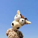 BlingblingSam的个人资料头像