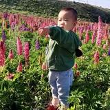 宅男头像