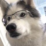 可爱少年908头像