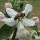 花花世界本尊的个人资料头像