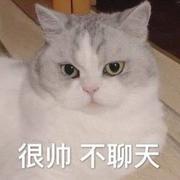 AKA_爆爆的个人资料头像