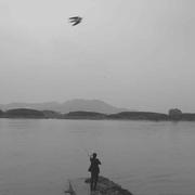 王野树的个人资料头像