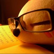 木头705的个人资料头像