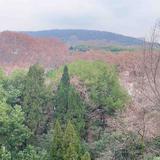 小杨哥的二手车头像