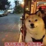 Cc41693头像
