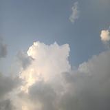 PLUSL6头像