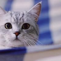 快乐和痛苦都是人生头像