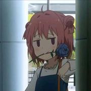 孤独风雪的个人资料头像