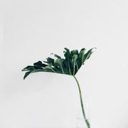 yu_的个人资料头像