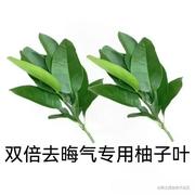 杞县贫困女的个人资料头像