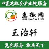 惠椒网王治轩1880499372头像