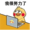 无二三的个人资料头像