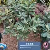 用户7597973939777头像