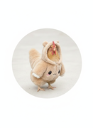 另一个程序员的个人资料头像