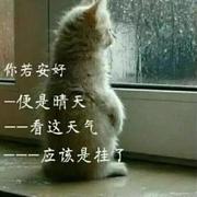 李木子2004的个人资料头像