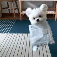 健康塞莉斯廷0X7头像