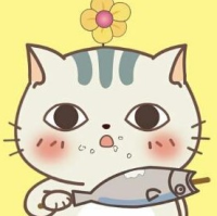 Kotlin 遇上 JPA：当「优雅」撞上「反射」