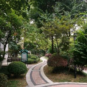 Story童话外贸童装头像