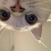 yu186的个人资料头像