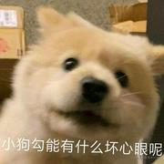 ziiikang的个人资料头像