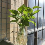 须菩提的个人资料头像