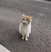 我家没有洗发水的个人资料头像