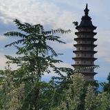 赢龙视频头像