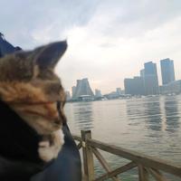 吴狄酱吖头像