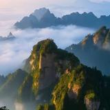 自由汽车小知识头像