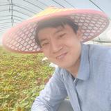 运动虎林8n头像