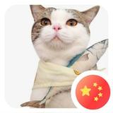 爱钓鱼的回忆猫810头像