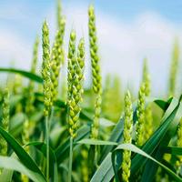 用户4465541796509头像