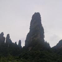 大气山雀hwd头像