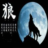 狼性崛起663头像