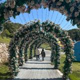 用户tao123456头像