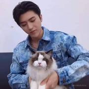 小逆的个人资料头像