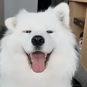 __靓仔的个人资料头像