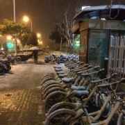 悲伤的白萝卜的个人资料头像