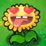 IO的个人资料头像