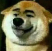 网瘾老年人的个人资料头像