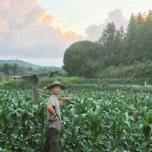 山野农夫1011头像